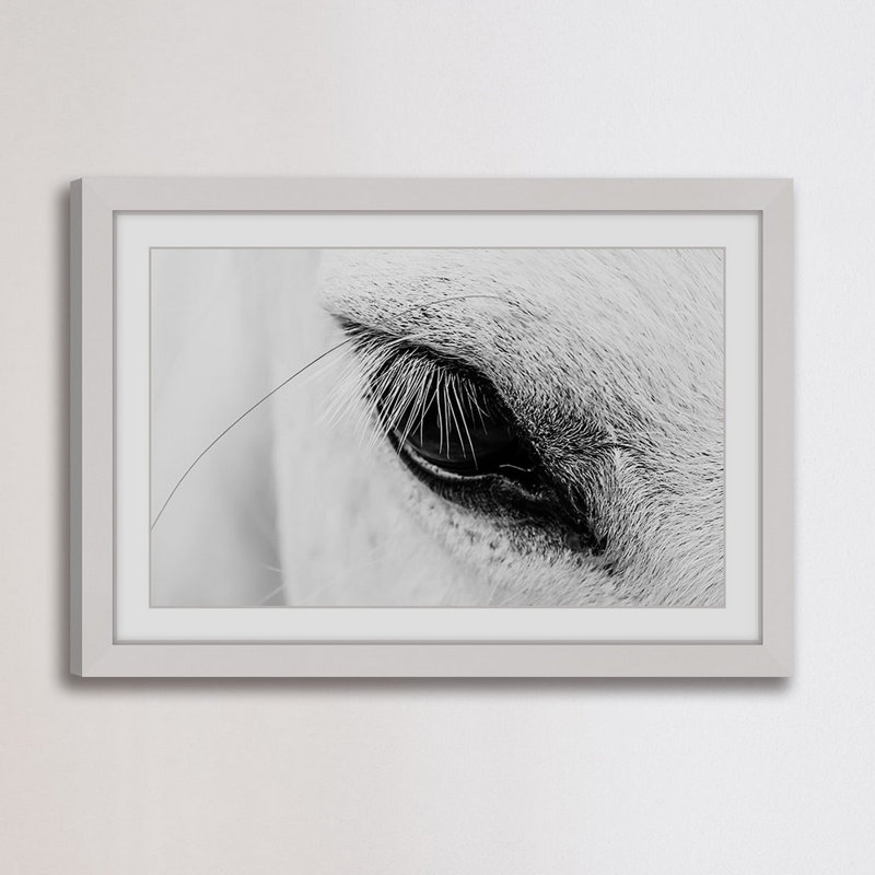 « trusting eye »-cadre photo, impression sur papier, H 20 po x l 30 po x P 1,5 po, Cadre blanc