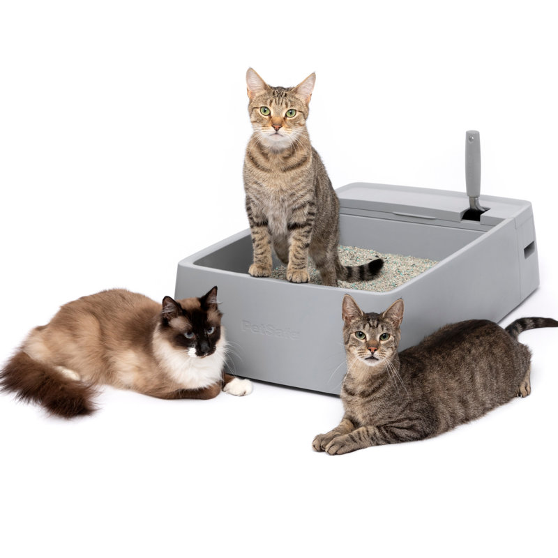  Multi-Cat Litter Box