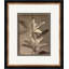 Sepia Flowers 14 Giclee Print by Soicher Marin Archives