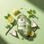 Recharge pour diffuseur de roseaux Danaiella's Candles