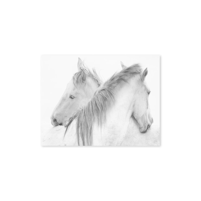 Chevaux - reproduction de photo sur toile, H 30 po x l 40 po, Toile tendue, Sans cadre