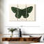 Papillon antique I-107931381