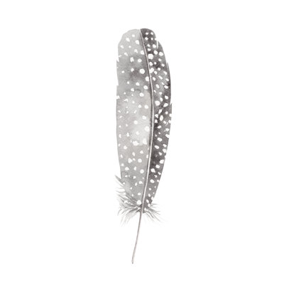 Neutral Grey Feather - Painting Print