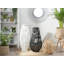 Wood Floor Lantern-40680195-40681240