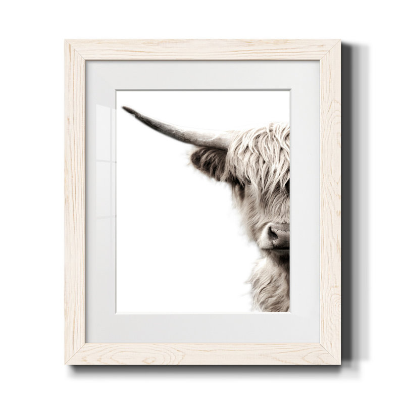 Bétail des Highlands - reproduction de photo, Papier encadré blanc, H 20 po x l 17 po x P 1 po, Blanc