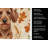 Wirehaired Red Dachshund Heirloom Fall Kitchen Towel-1218231493