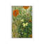 Butterflies And Poppies by Vincent Van Gogh - Floater Frame Painting on Canvas-738160124-738160115