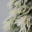 Flocked Realistic Pine and Pampas Christmas Tree 550 Warm White LED Lights - Includes a Storage Bag & Remote Control-85608181