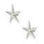 Petits boutons étoile de mer (ensemble de 2)-104674675-39948825-126755979