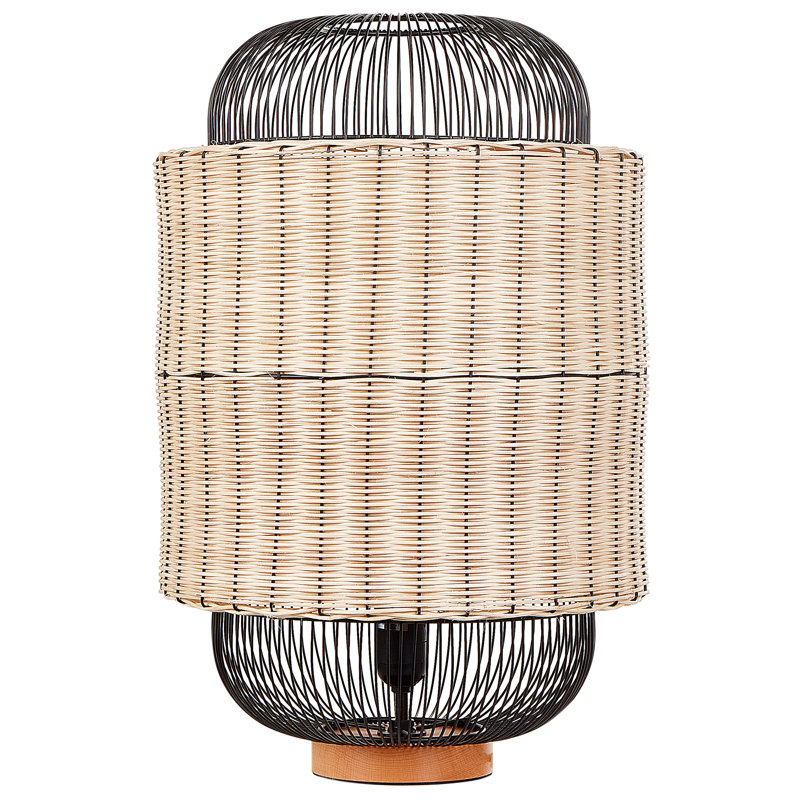Amyrah Iron Novelty Lamp