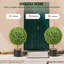 61.0cm Faux Boxwood Topiary in Pot