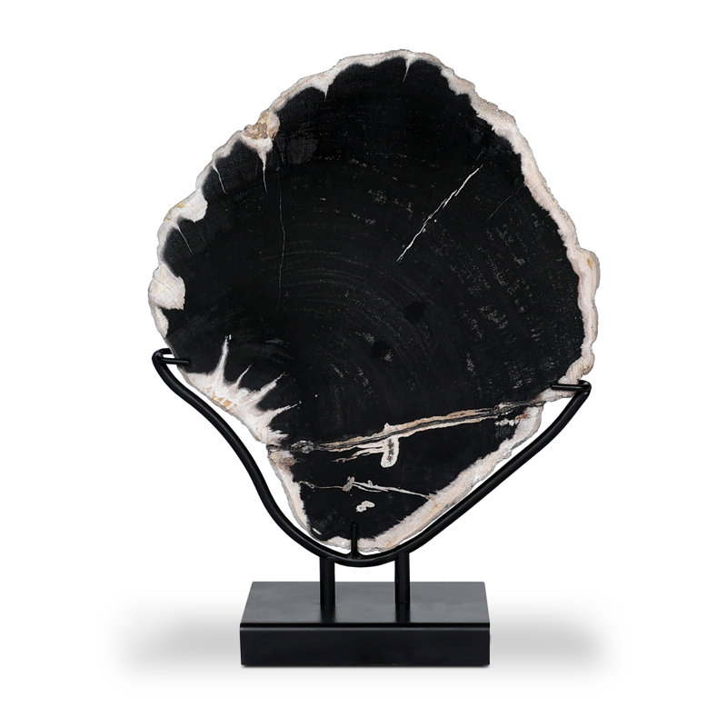 Petrified Wood Sculpture