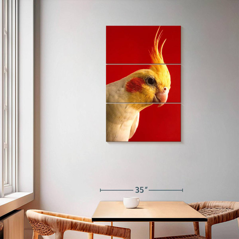 Cockatiel Brampt Lutino, H 57 po x l 36 po