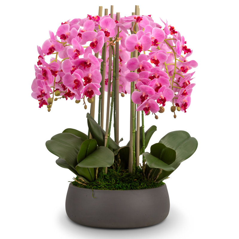 Brianna RealTouch Orchid Arrangement