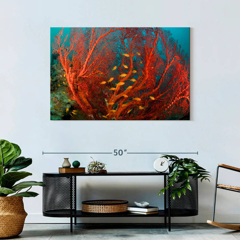 Fire Coral, 30" H x 45" W