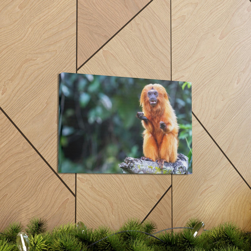 Wall Art on Canvas, 12cm H x 18cm W