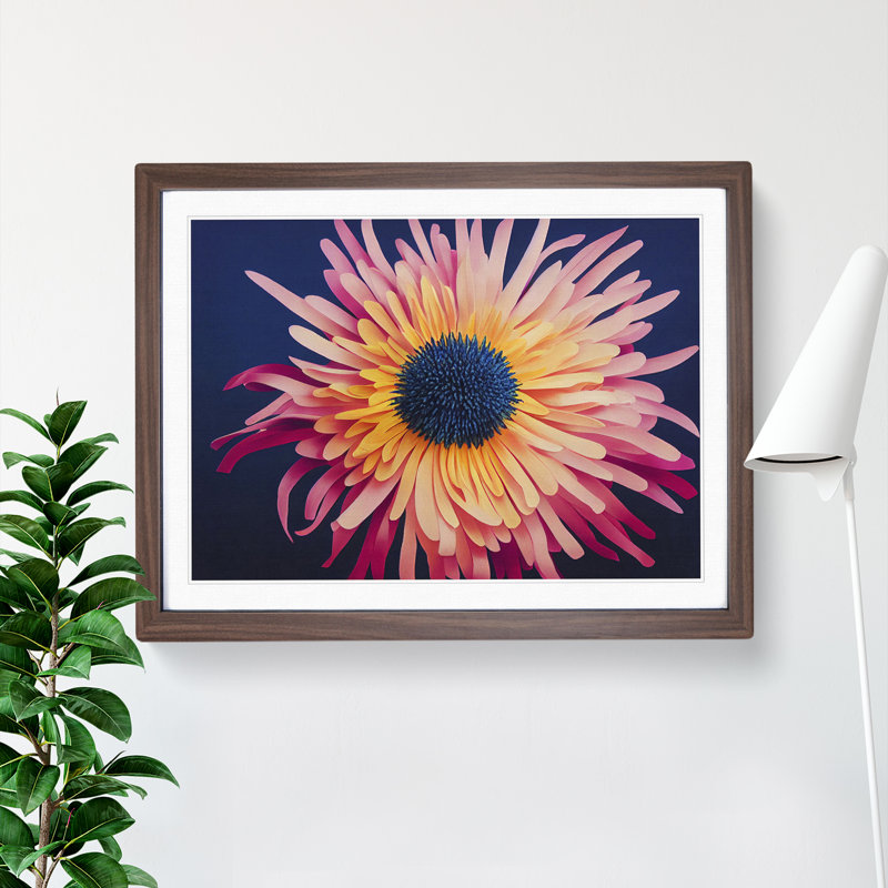 Unusual Chrysanthemum Flower - Framed Print, 46cm H x 64cm W x 2cm D, Walnut