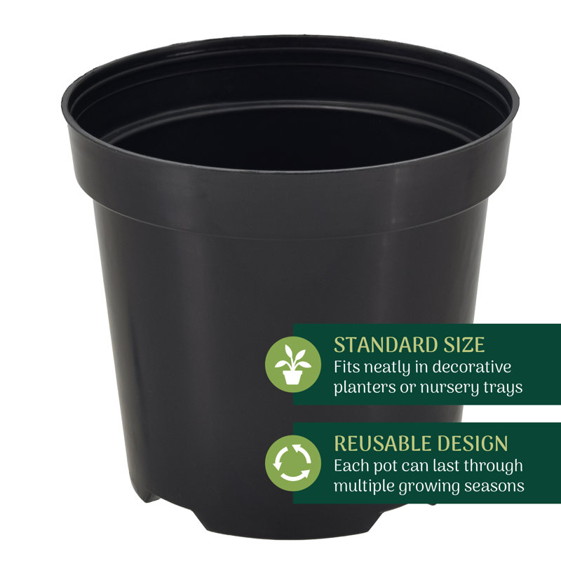 Kounain Nursery Pot, 100, 3.5" H x 4" W x 4" D
