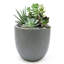 Pot à fleurs rond gris clair 9,9 po Acushnet-1333807586-1333807581