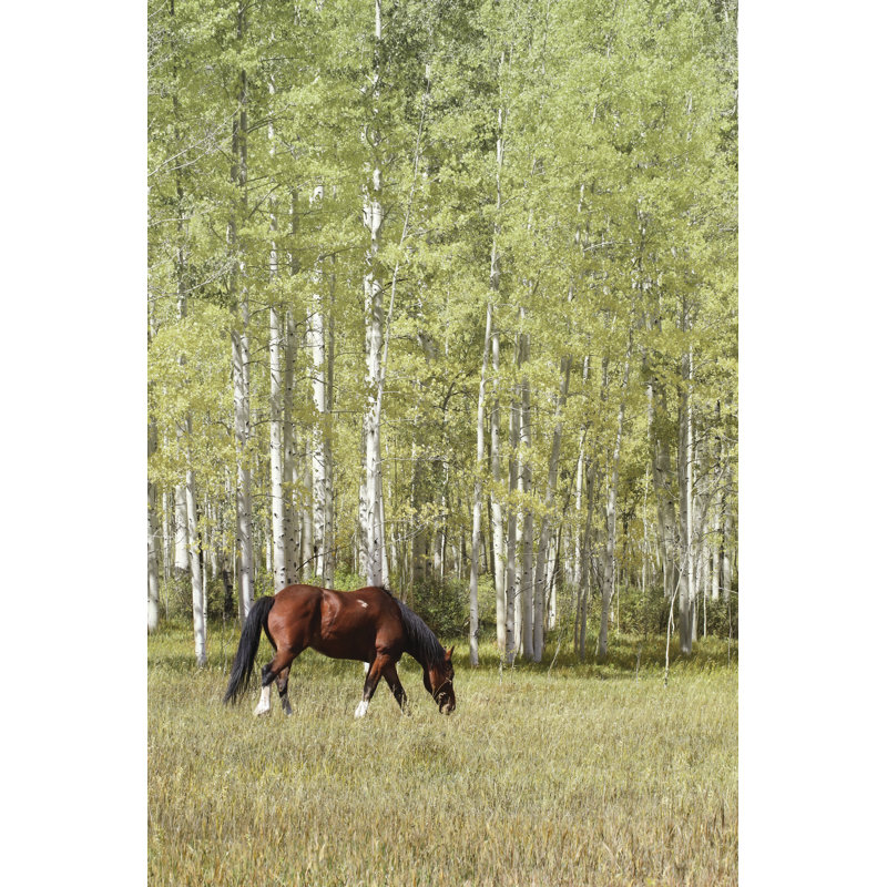 Parmi les trembles de l'été II 2883732, H 18 po x l 12 po, Non, Toile tendue