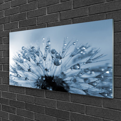Floral Dandelion - No Frame Print on Glass