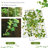 Breyden 122cm H x 86cm W Lattice Panel