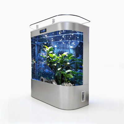 Réservoir d'aquarium à double arc avec filtre supérieur