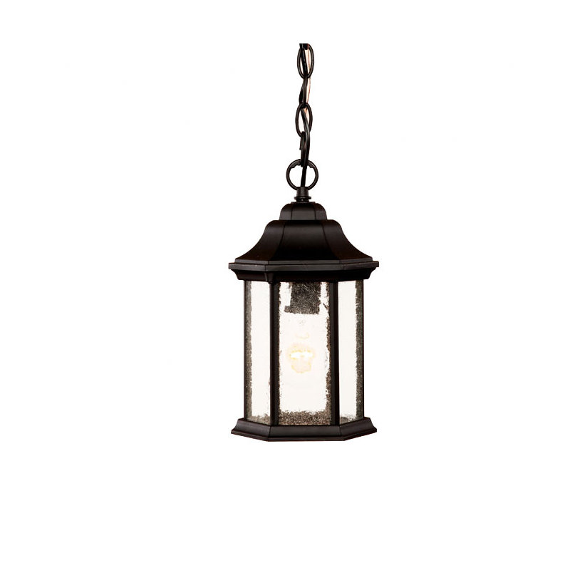 Pruitt Outdoor Hanging Lantern, Matte Black, Clear Seeded, No