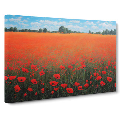 Soothing Poppy Field Flowers - Wrapped Canvas