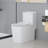 KDK HOME Torando Toilet One Piece Modern Toilet Dual Flush Siphon