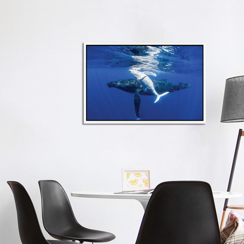 The Dancing Whale by Jordan Robins - Gallery-Wrapped Canvas Giclée on Canvas, White Framed, 101.6 cm H x 66.04 cm W