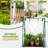 36 X 36 X 43 In. Clear PVC Greenhouse With PE Bottom Mat