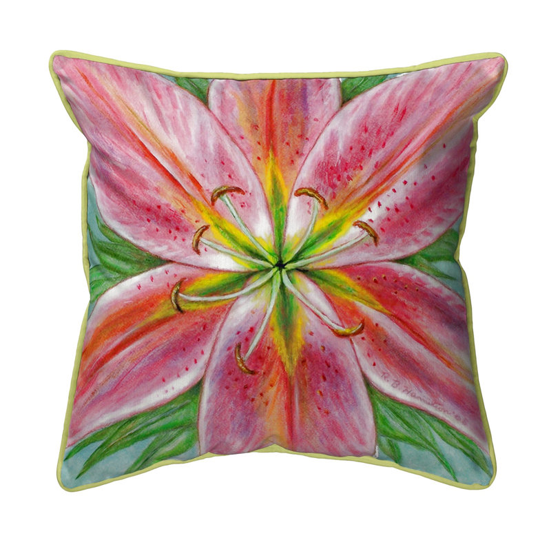 Lily Lily Indoor/Outdoor Throw Pillow, Small, Pink