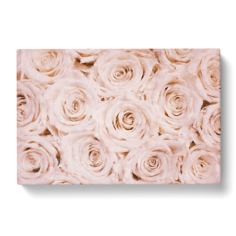 Wall of Pink Roses - Wrapped Canvas, 35cm H x 50cm W x 3cm D