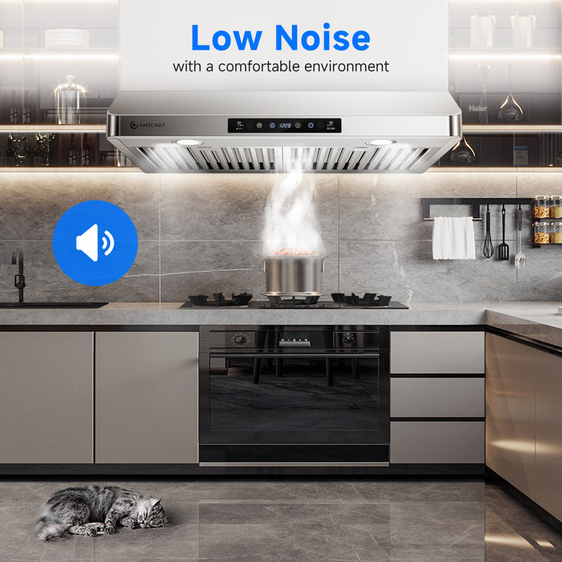 Hotte sous l'armoire Amzchef de 30 pouces, évent de cuisine en acier inoxydable de 700 pi³ / min, installation convertible à 3 voies (évent supérieur / évent arrière / recirculation sans conduit), télécommande tactile, lumières à DEL, filtres a