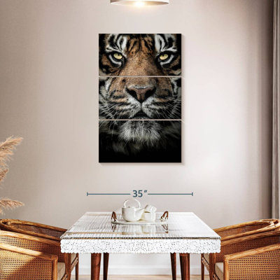 Tigre du Bengale serieux Brampt