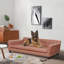 Dog Sofa-323632158