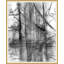 Charcoal Graffiti Print by Thom Filicia