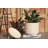 Mid Modern Planter with Detached Saucer Small Stoneware Clay Pot - Indoor-135239437