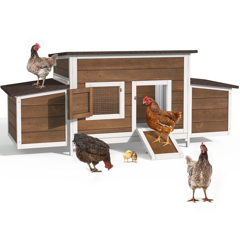 Tucker Murphy Pet™ 11.5 Square Feet Chicken Coop With Nesting Boxes, Bronze