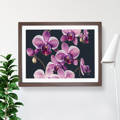 Sparkling Orchid Flowers - Framed Print