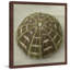 Judy Stalus - Single Picture Frame Print-20708671