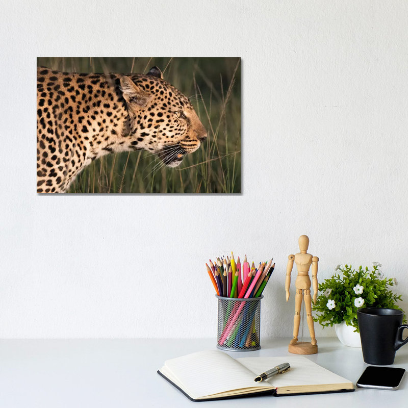 Africa, Kenya, Maasai Mara National Reserve. Close Up Of Walking Leopard by Jaynes Gallery - Wrapped Canvas Print