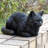 Resting Black Tabby Cat-126248605