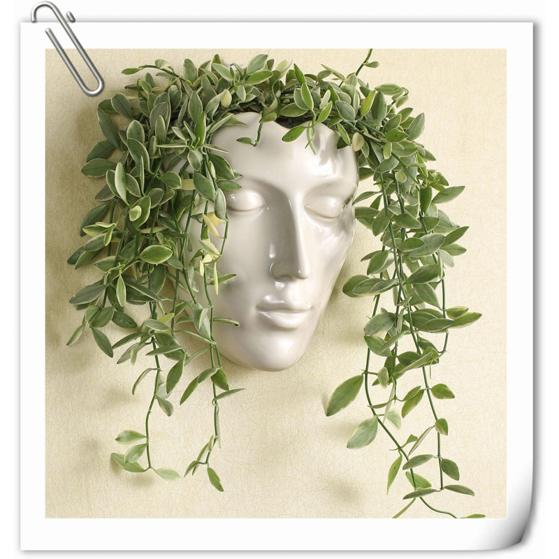 Kalesia Planter, White