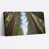 Wrapped Canvas
