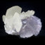 Fluorite et calcite - Mine Yindu, Chine