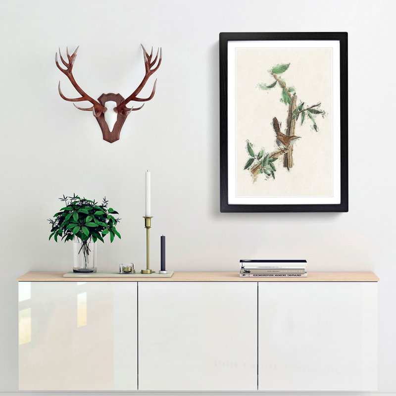 Bewicks Wren by John Audubon - Framed Print, Black Framed, 63cm H x 45cm W x 2cm D