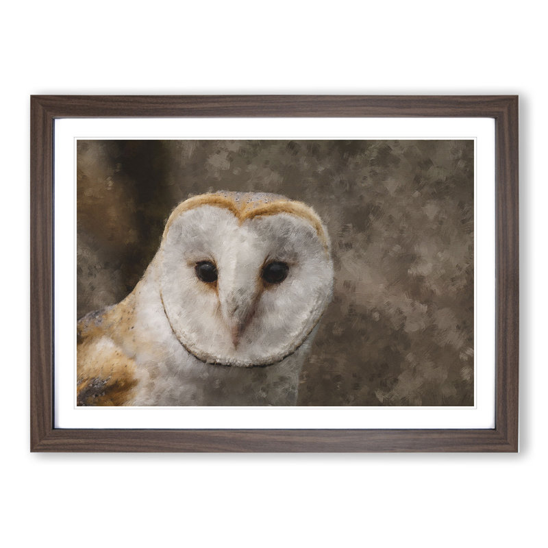 Barn Owl Vol.1 - Picture Frame Painting, Walnut Framed, 36cm H x 48cm W x 2cm D