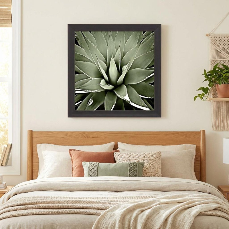 «Green Succulent III», reproduction d'art encadrée brune